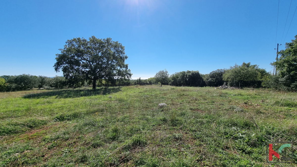 Istria, Perugia, terreno edificabile e agricolo 5932m2 con vista mare