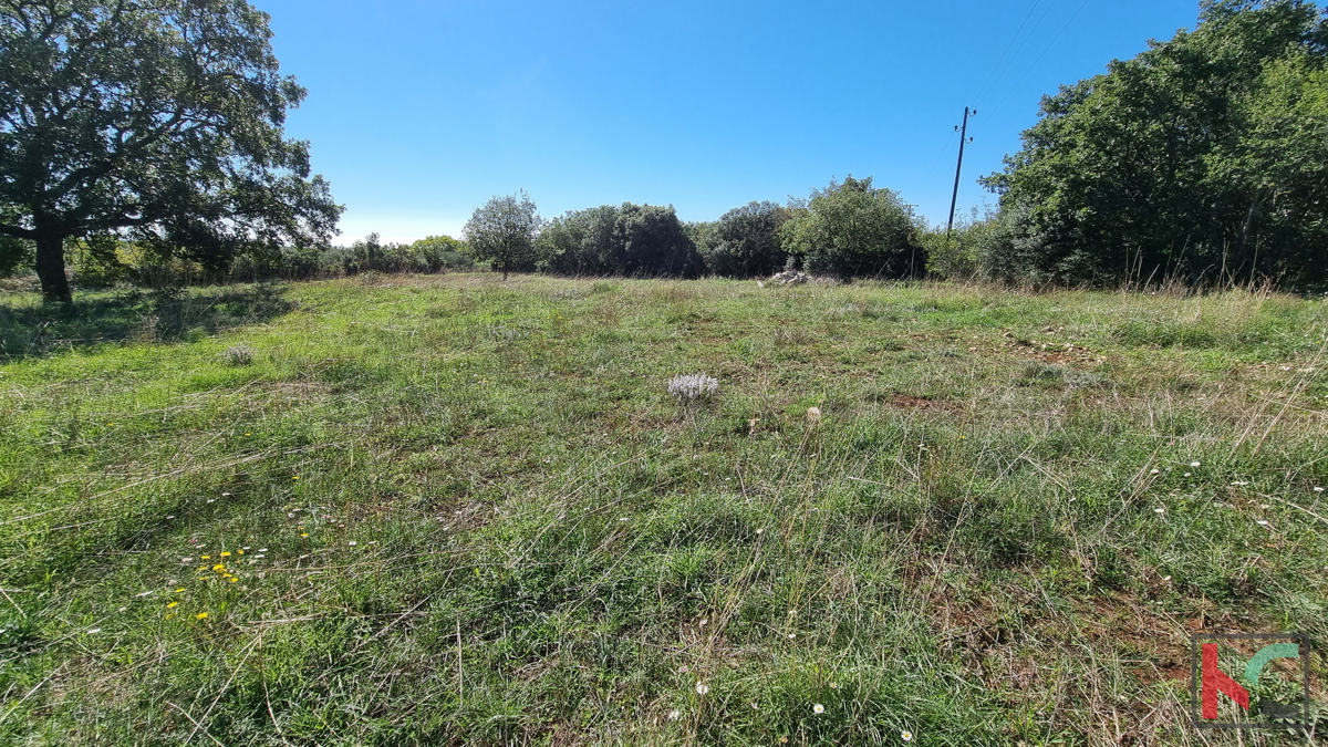 Istria, Perugia, terreno edificabile e agricolo 5932m2 con vista mare