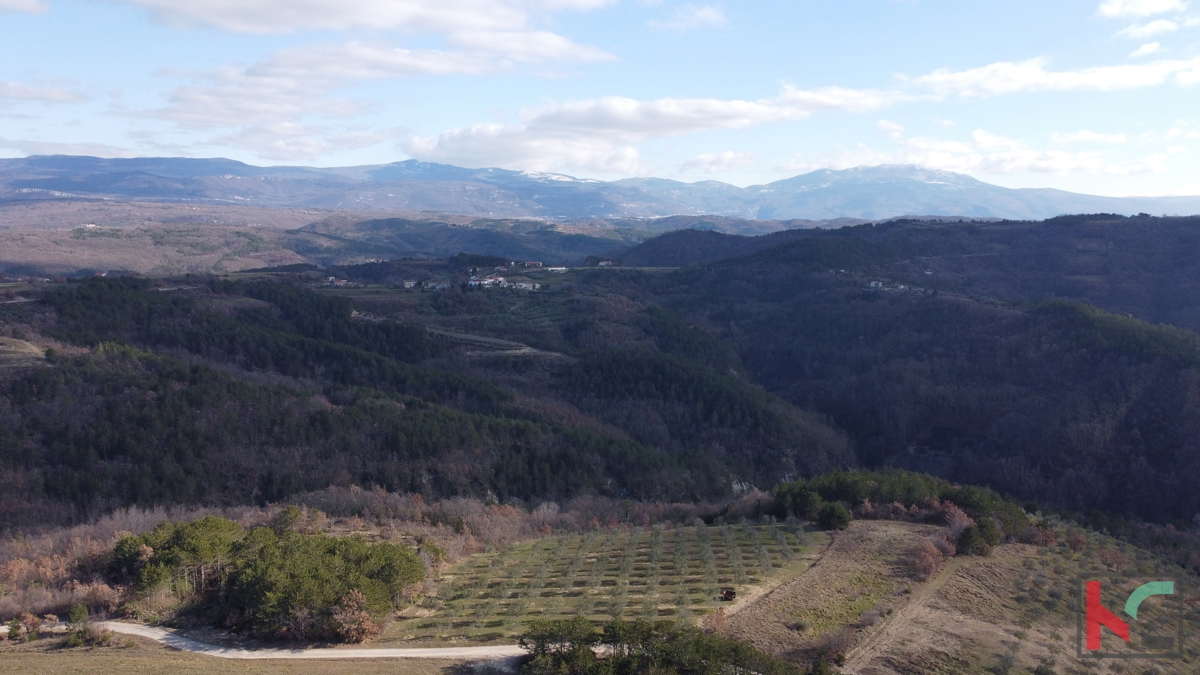 Istria, Villa su un giardino di 20.000 m2 vicino al pittoresco villaggio di Draguć