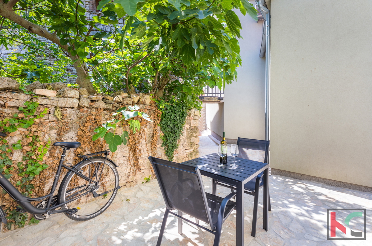 Istria, Ližnjan, Šišan, casa in pietra ristrutturata, #vendita