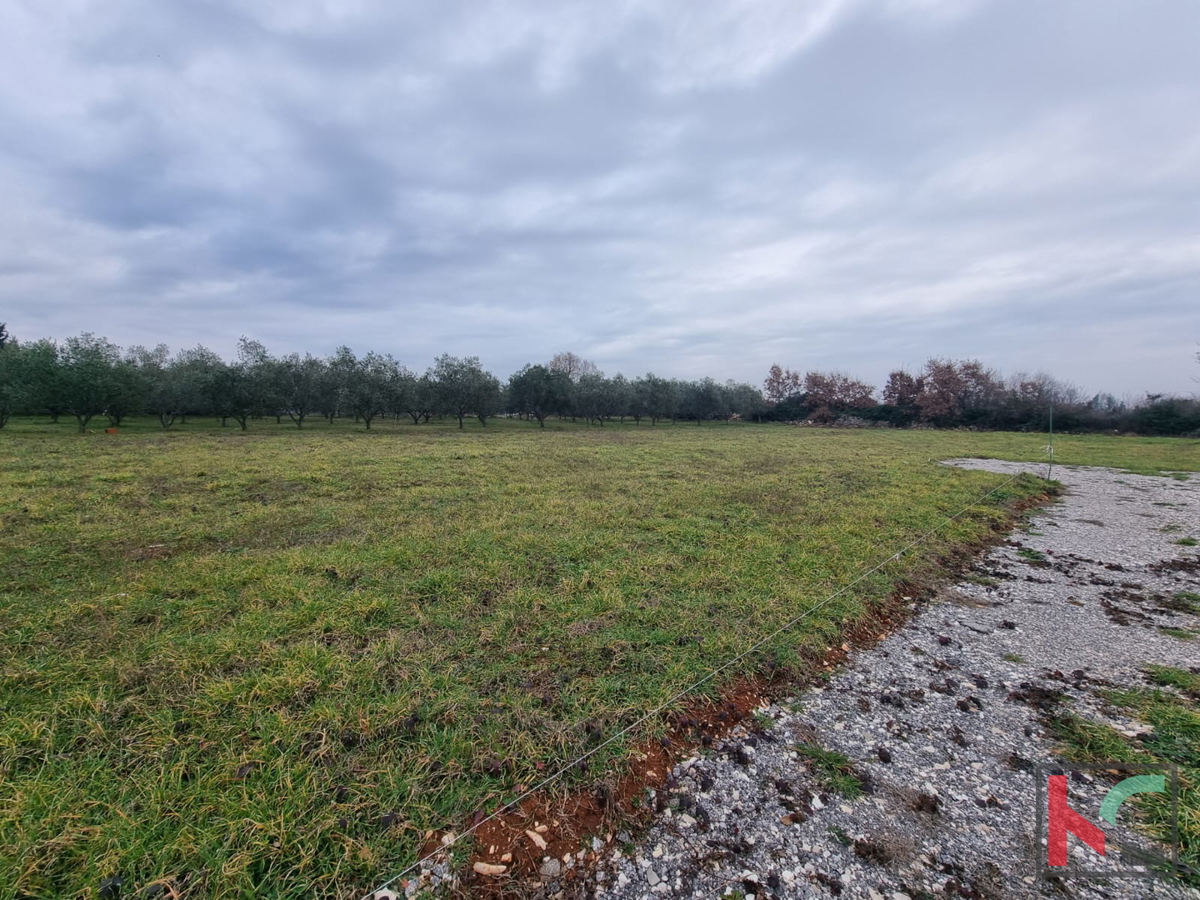 Istria, Loborika, terreno edificabile regolare 545m2, #vendita