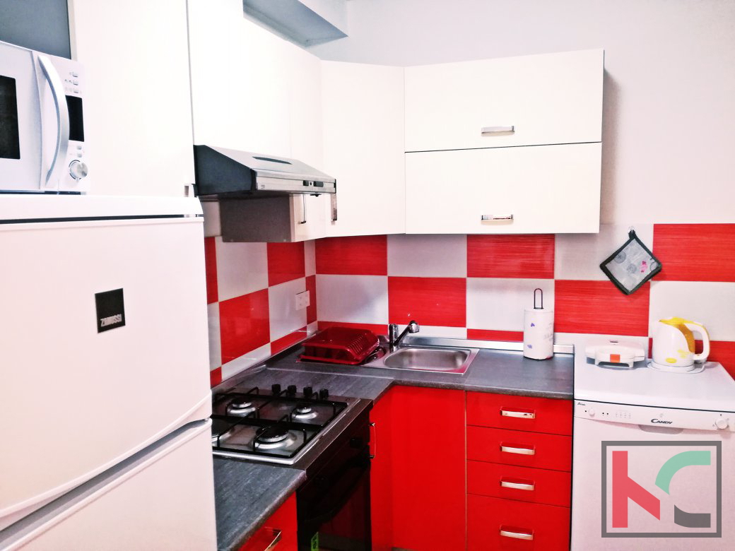 Istria, Gimino, casa indipendente con piscina di 120m2 e ampio giardino di 100m2 #vendita