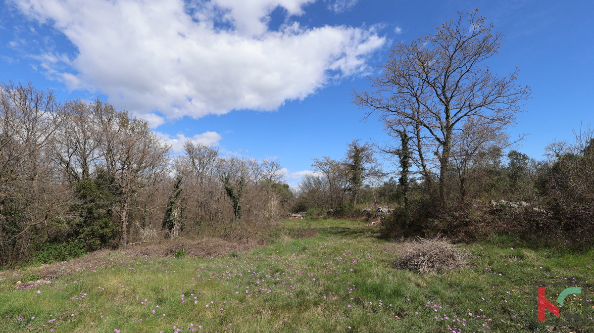 DUGA UVALA, TERENO EDILIZIO 915 M2 #VENDITA