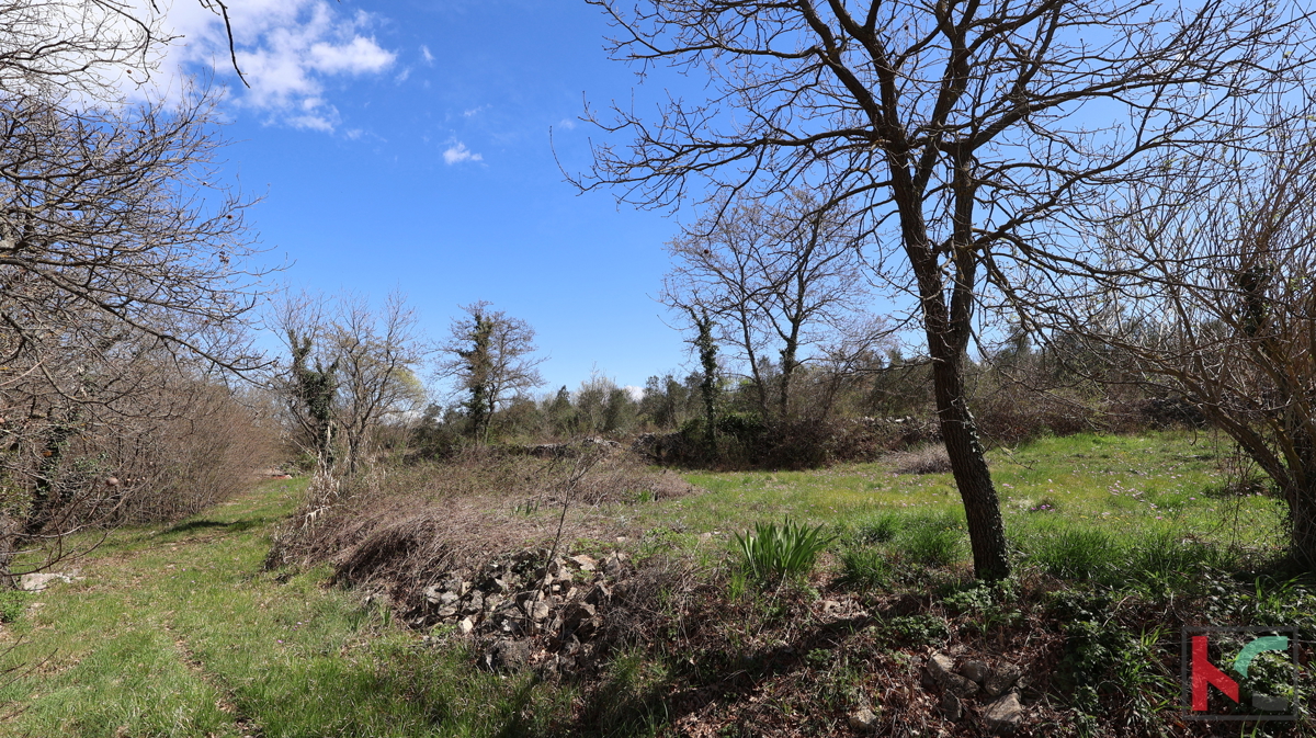 DUGA UVALA, TERENO EDILIZIO 915 M2 #VENDITA