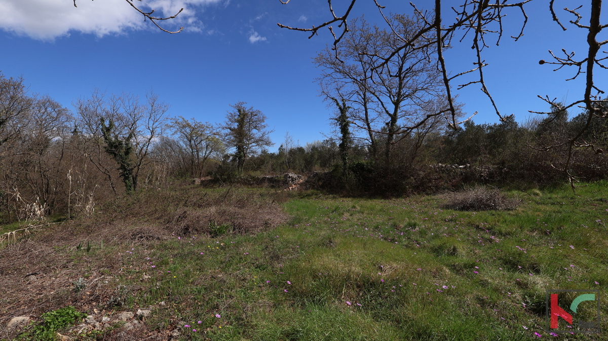 DUGA UVALA, TERENO EDILIZIO 915 M2 #VENDITA