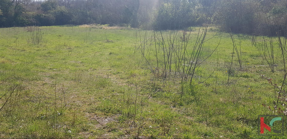 Rovigno, terreno edificabile 1375m2 ottima posizione