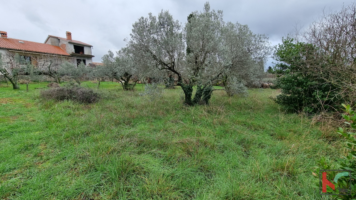 Istria, Marčana, Cokuni terreno edificabile 3352m2 con vista mare