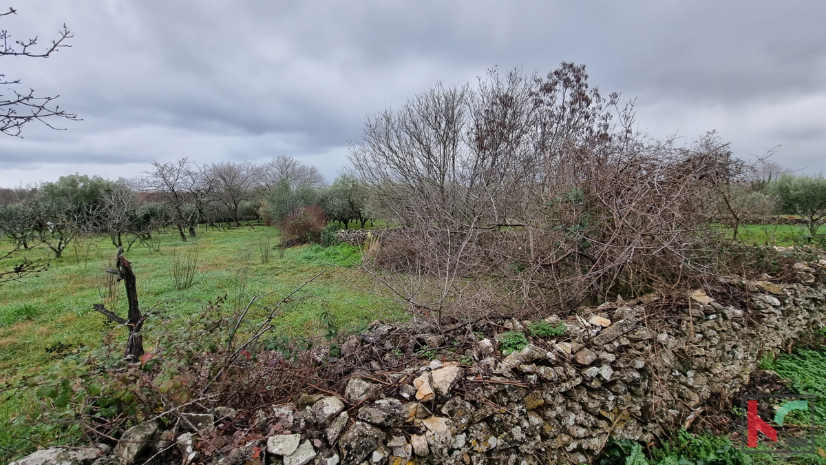 Istria, Marčana, Cokuni terreno edificabile 3352m2 con vista mare