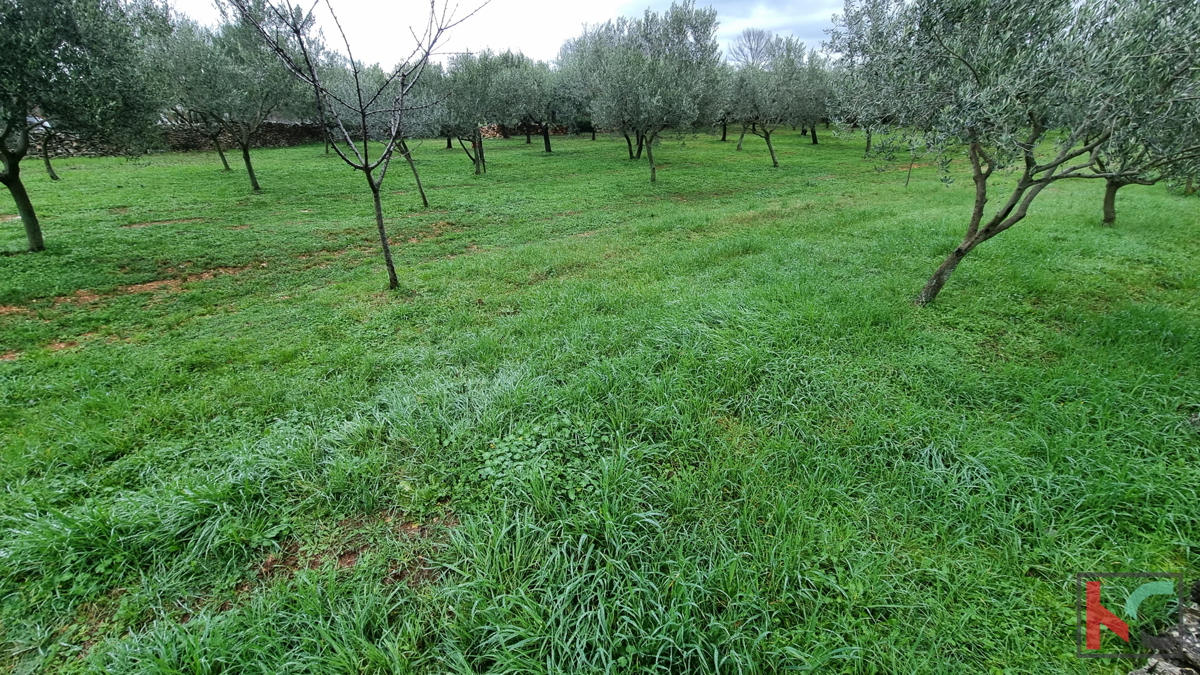 Istria, Marčana, Cokuni terreno edificabile 3352m2 con vista mare