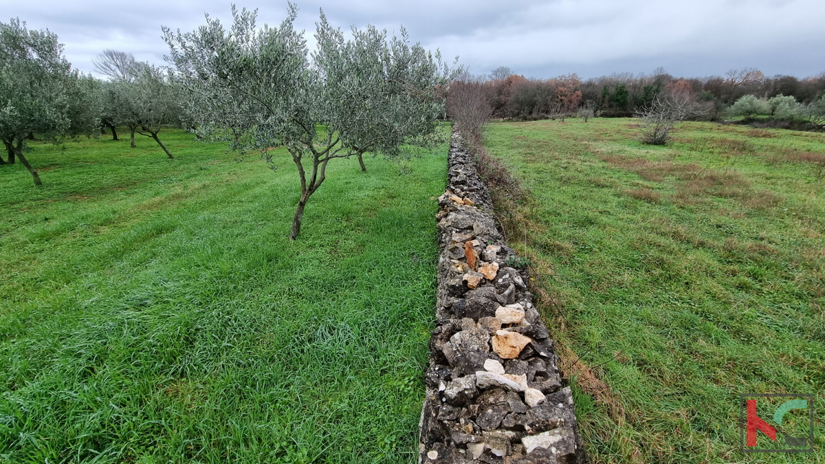 Istria, Marčana, Cokuni terreno edificabile 3352m2 con vista mare