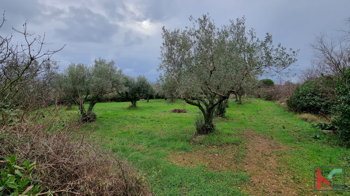 Istria, Marčana, Cokuni terreno edificabile 3352m2 con vista mare