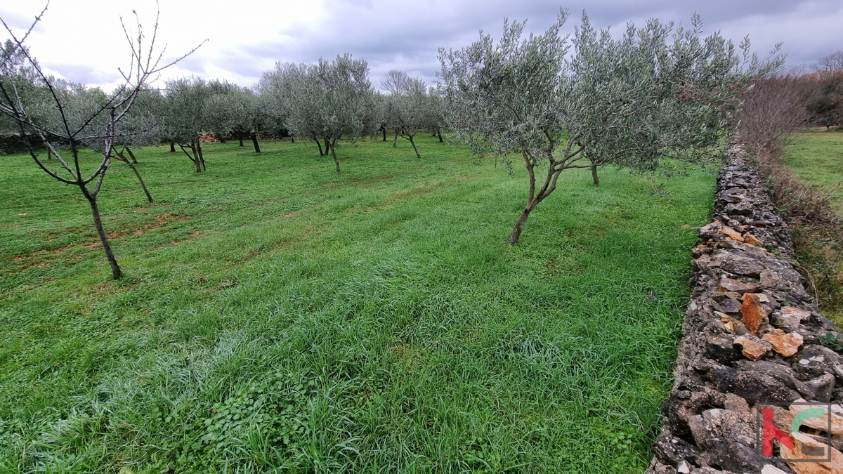 Istria, Marčana, Cokuni terreno edificabile 3352m2 con vista mare