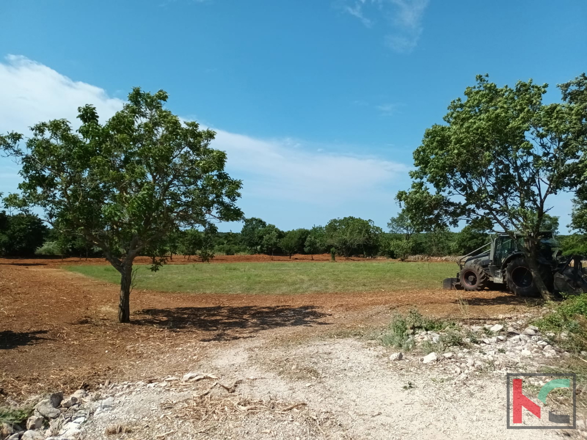 Svetvinčenat, Cukrići, terreno edificabile e agricolo con progettazione concettuale #sale