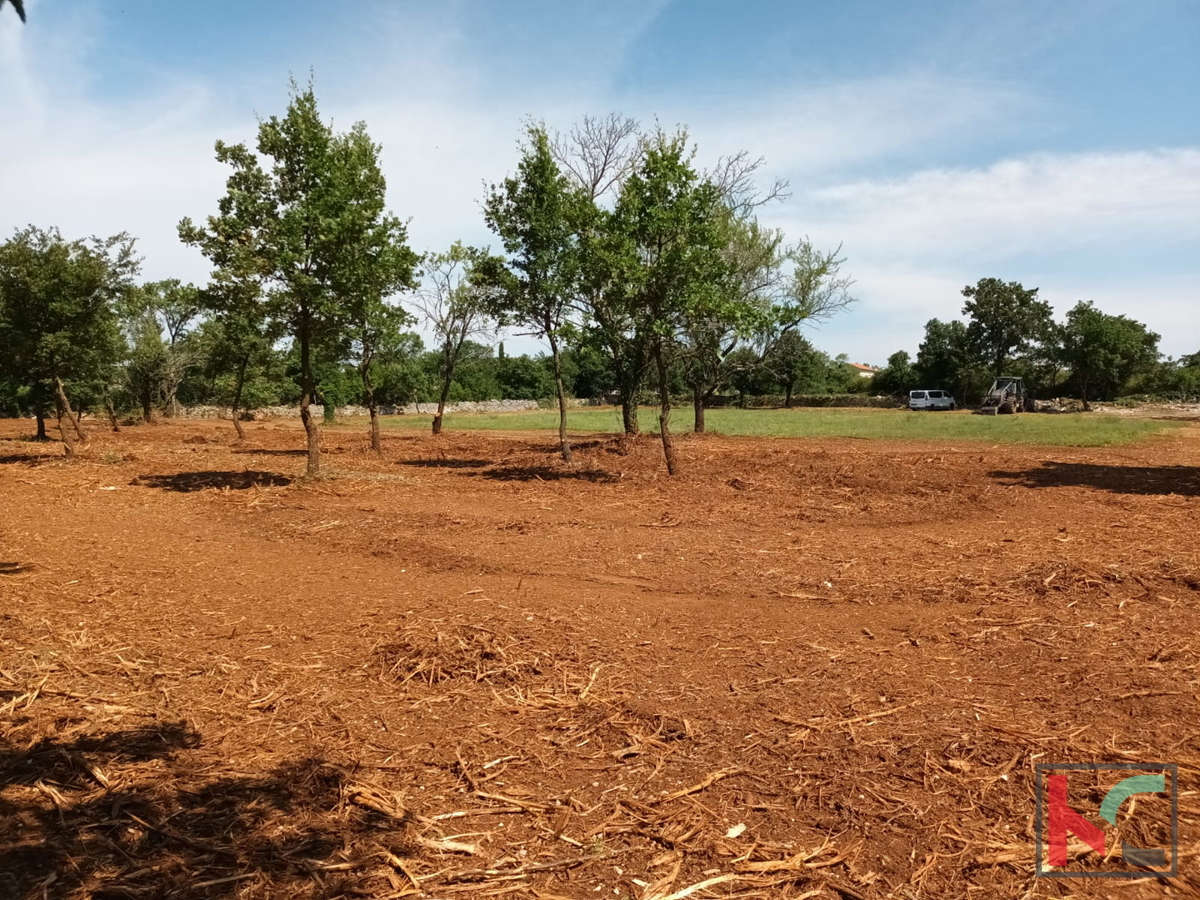 Svetvinčenat, Cukrići, terreno edificabile e agricolo con progettazione concettuale #sale