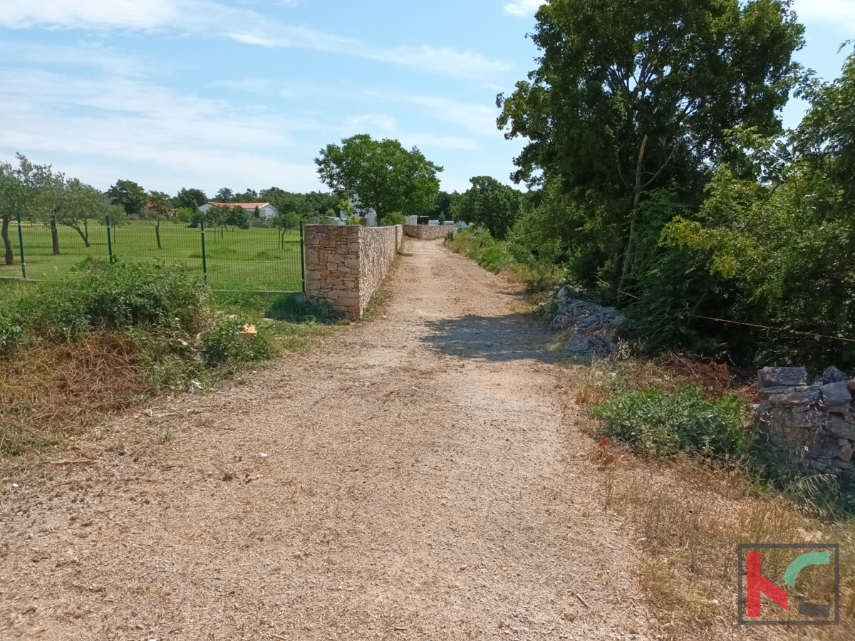 Svetvinčenat, Cukrići, terreno edificabile e agricolo con progettazione concettuale #sale