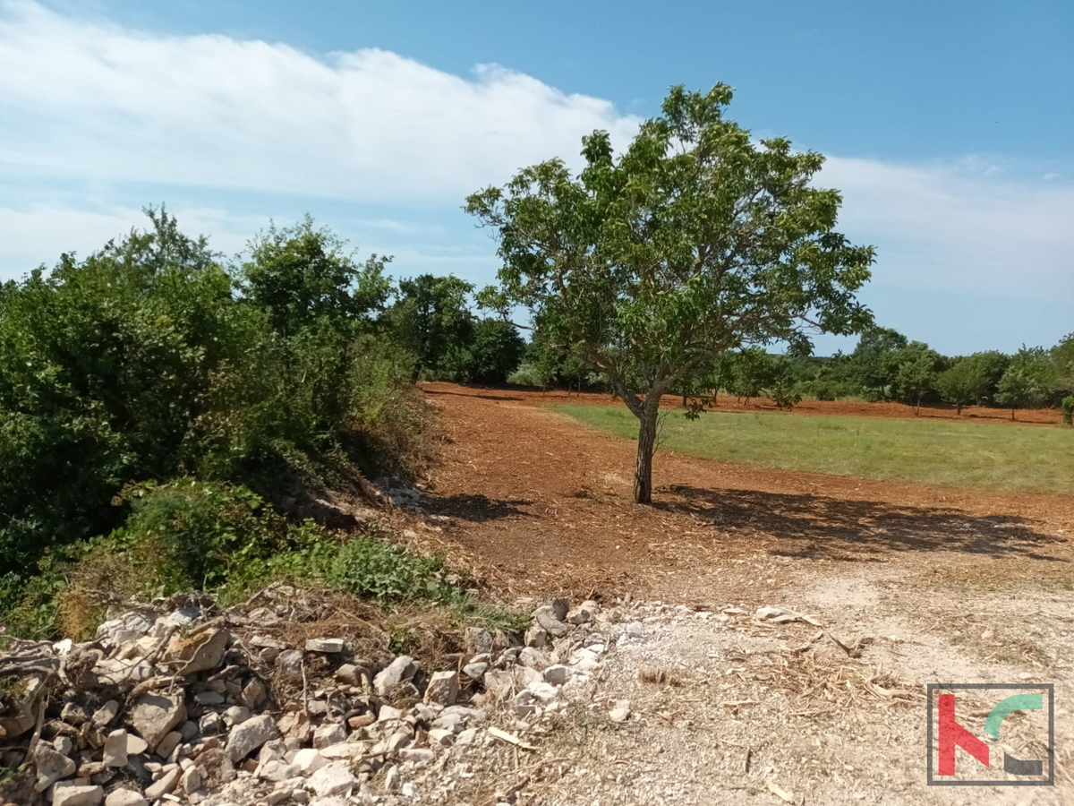 Svetvinčenat, Cukrići, terreno edificabile e agricolo con progettazione concettuale #sale