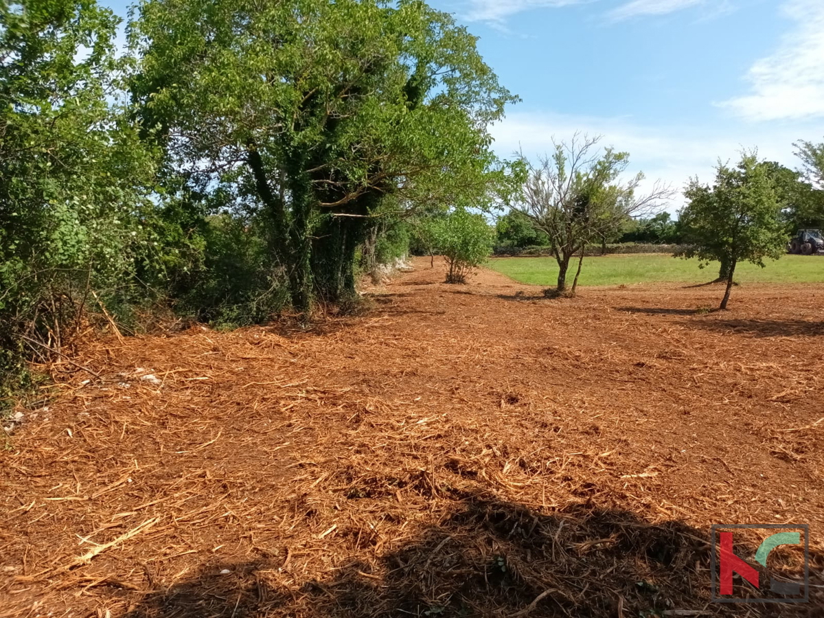 Svetvinčenat, Cukrići, terreno edificabile e agricolo con progettazione concettuale #sale