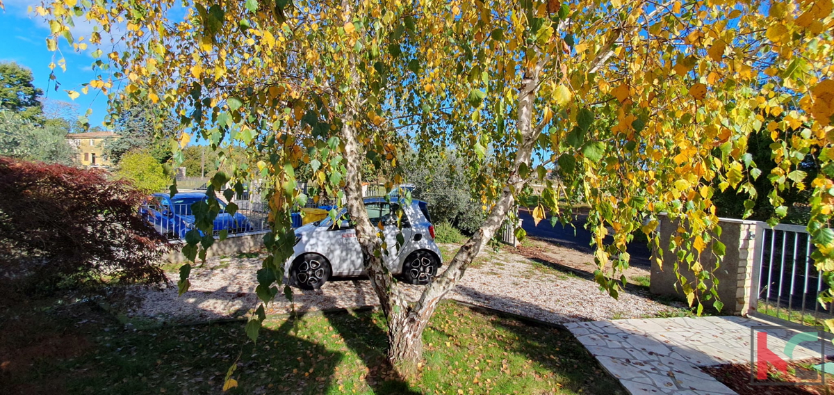 Istria, Antignana, casa indipendente con piscina #vendita