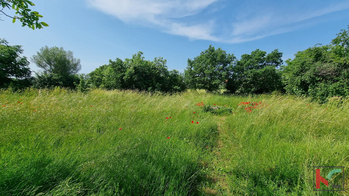 Istria, Pola, Busoler, terreno edificabile 1360 m2, #vendita