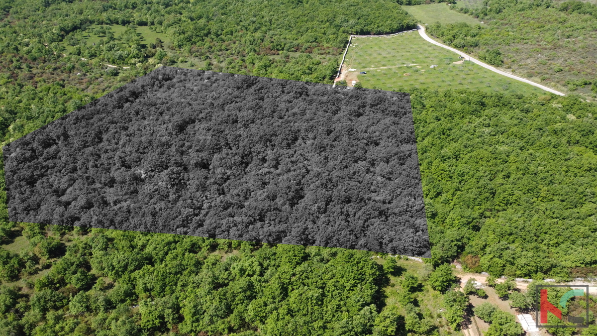 ISTRA - VODNJAN, TERRENO 18.775m2, #VENDITA