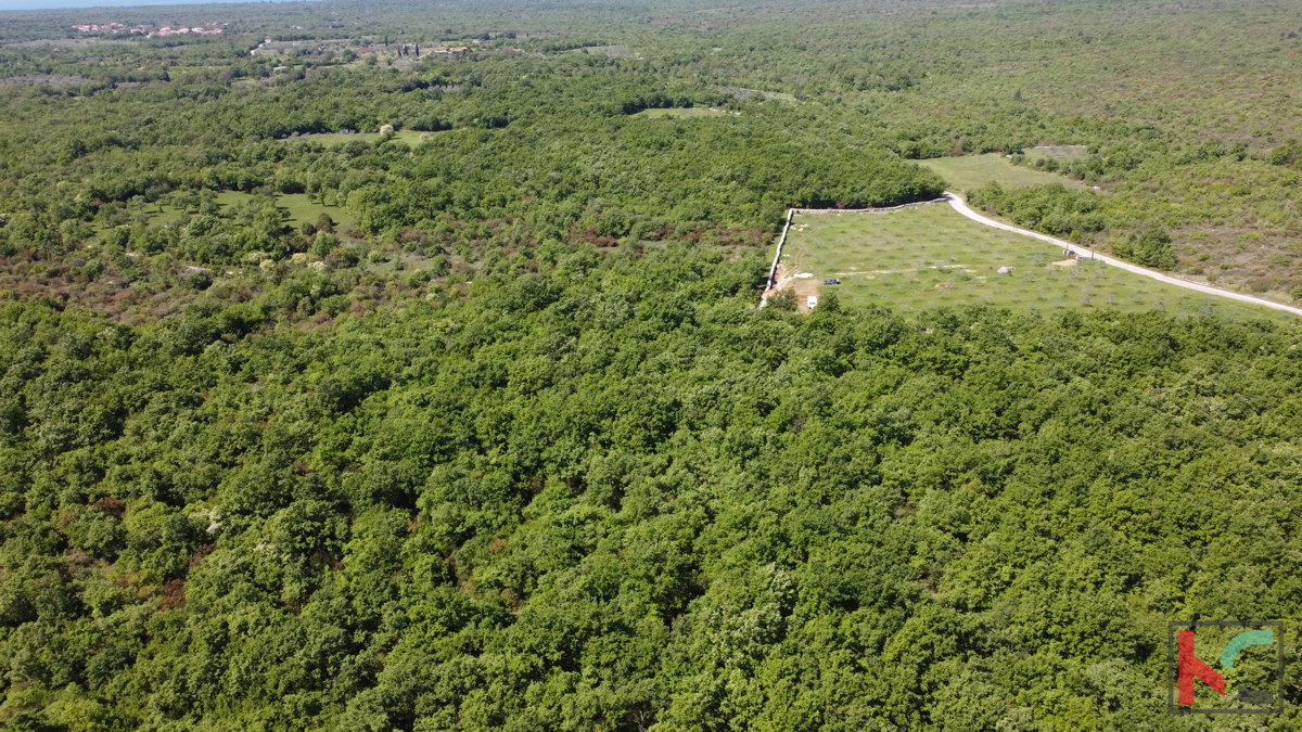 ISTRA - VODNJAN, TERRENO 18.775m2, #VENDITA