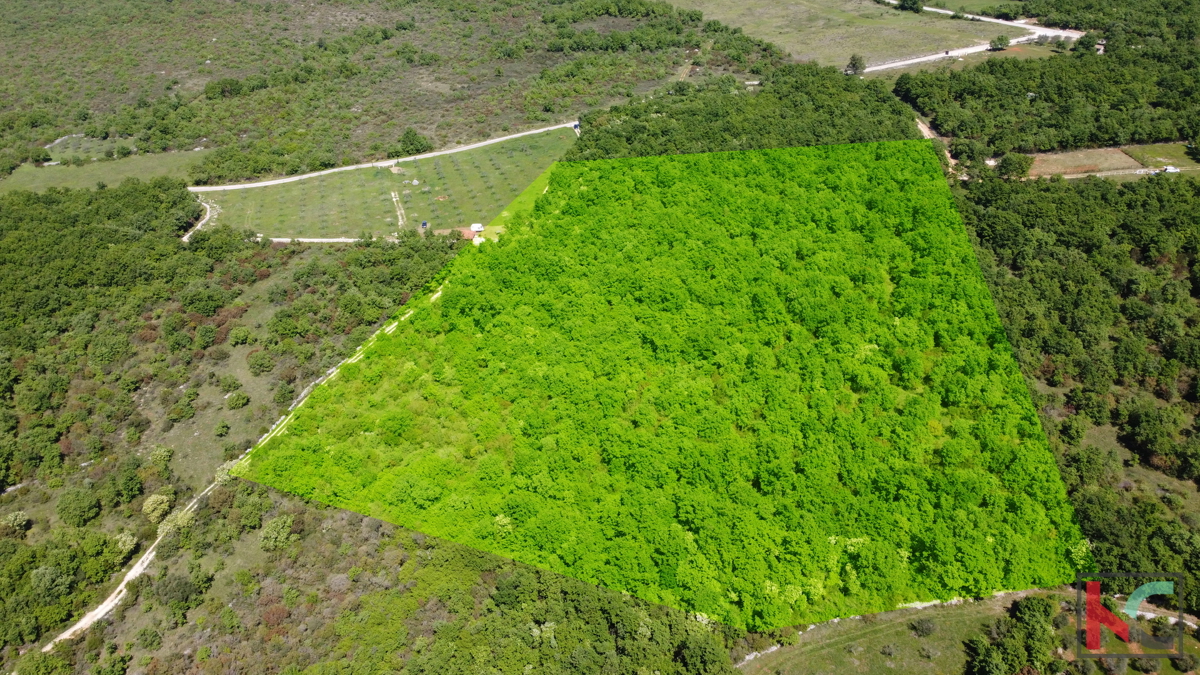 ISTRA - VODNJAN, TERRENO 18.775m2, #VENDITA