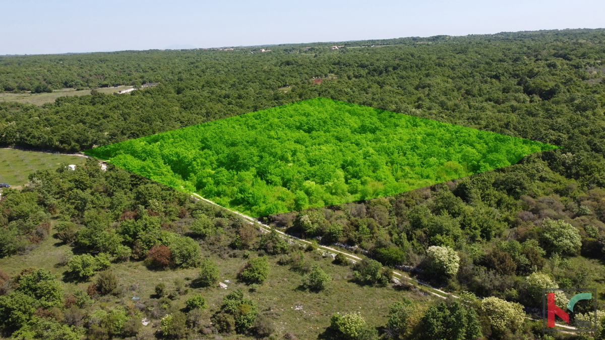 ISTRA - VODNJAN, TERRENO 18.775m2, #VENDITA