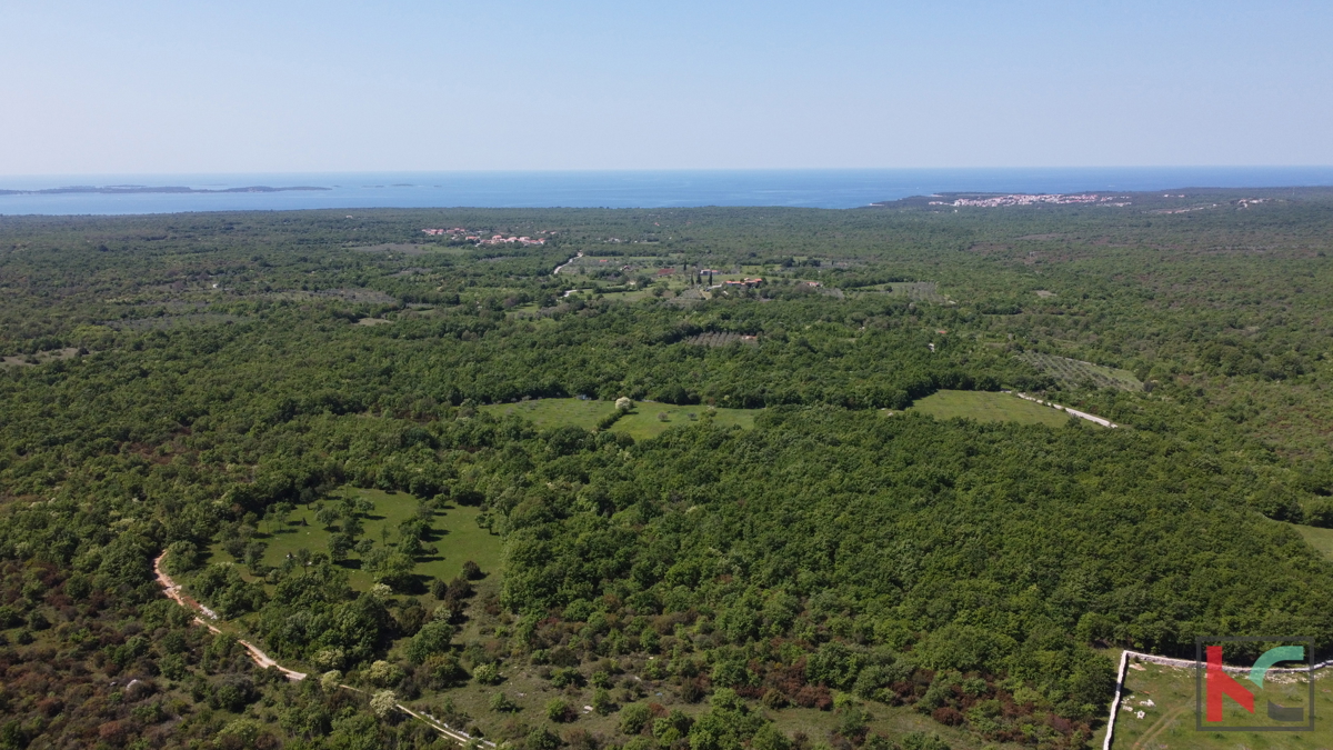 ISTRA - VODNJAN, TERRENO 18.775m2, #VENDITA
