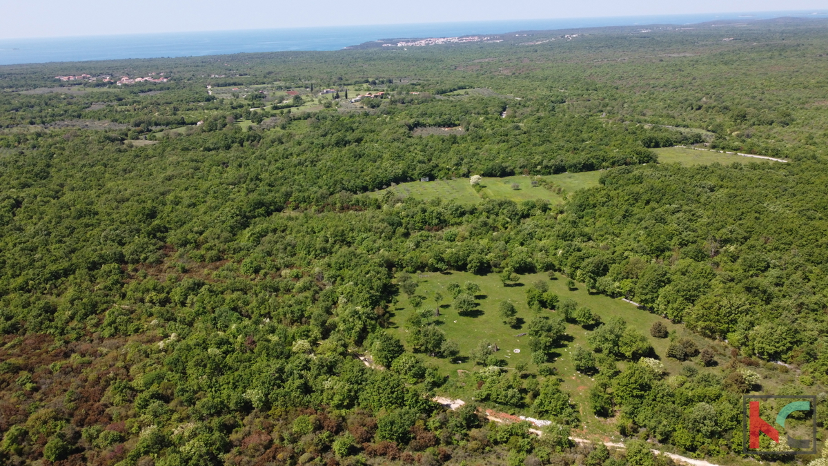 ISTRA - VODNJAN, TERRENO 18.775m2, #VENDITA