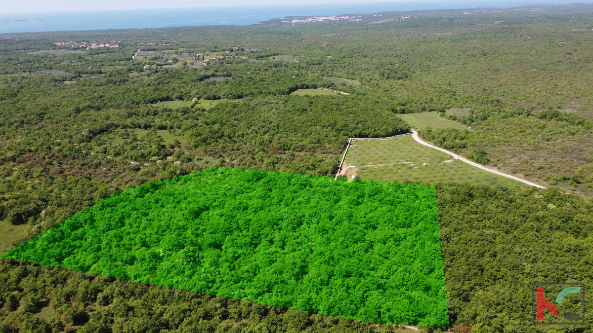 ISTRA - VODNJAN, TERRENO 18.775m2, #VENDITA
