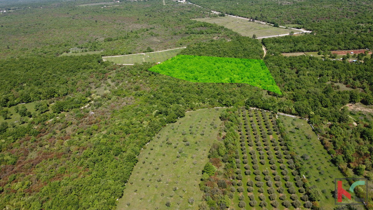 ISTRA - VODNJAN, TERRENO 18.775m2, #VENDITA