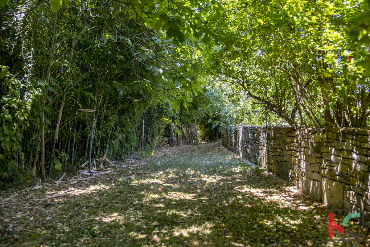ISTRA, BOLJUN, VENDIAMO VILLAGGIO IN FANTASTICA POSIZIONE CON BELLA VISTA #VENDITA