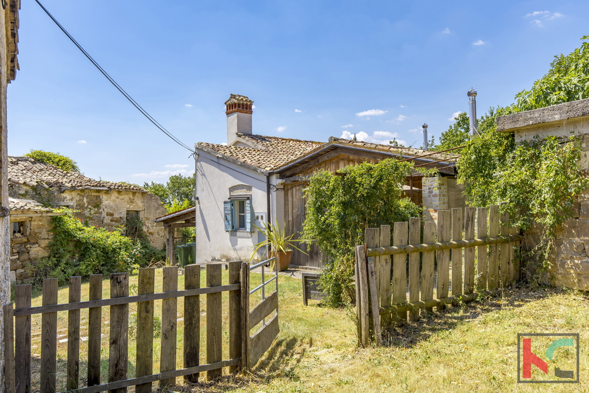 ISTRA, BOLJUN, VENDIAMO VILLAGGIO IN FANTASTICA POSIZIONE CON BELLA VISTA #VENDITA