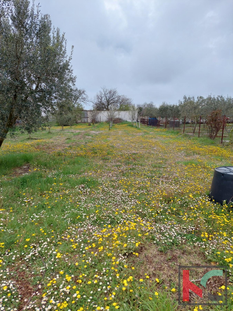 Šišan, casa indipendente di 101 m2 su una superficie di 1104 m2, posizione tranquilla, buon investimento #vendita