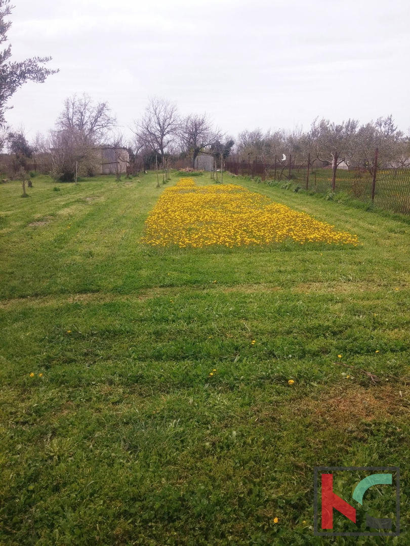 Šišan, casa indipendente di 101 m2 su una superficie di 1104 m2, posizione tranquilla, buon investimento #vendita