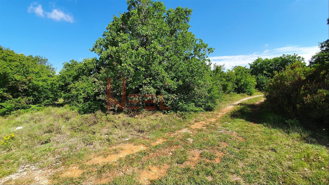 Istria - Vodnjan - Krnjaloža terreno 21.029m2