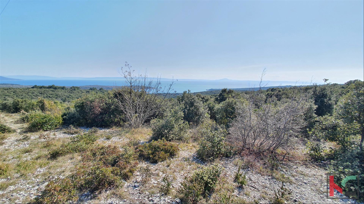 Istria - Pavićini - Duga uvala, terreno 9000m2 con vista panoramica sul mare