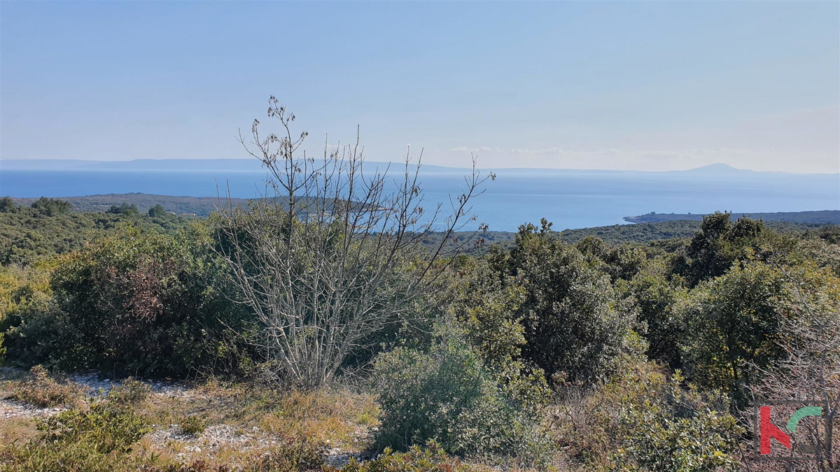 Istria - Pavićini - Duga uvala, terreno 9000m2 con vista panoramica sul mare