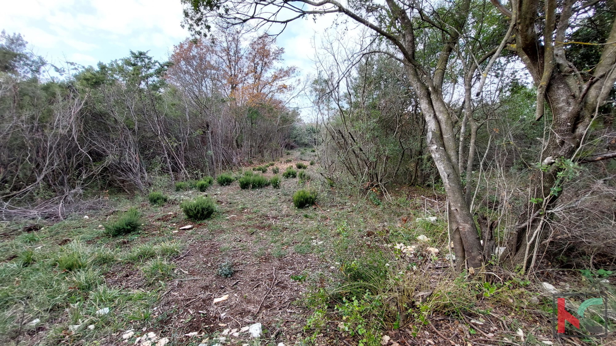 Istria, Peruški, terreni di costruzione 1345 m2, #prodaja