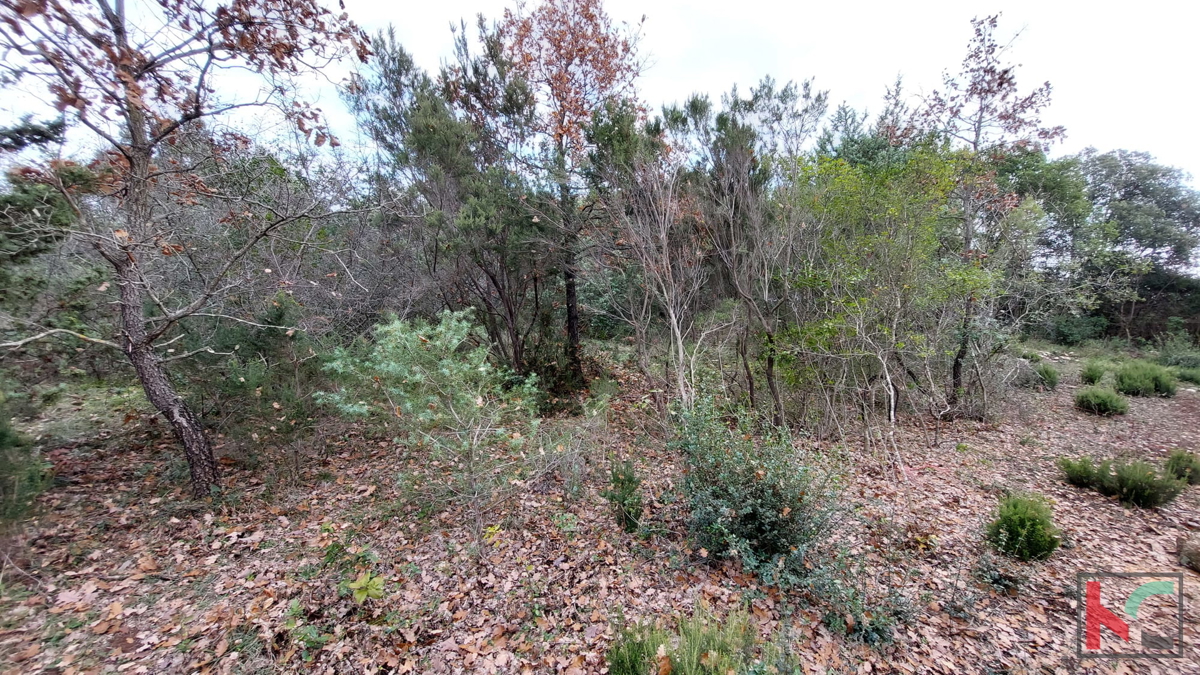 Istria, Peruški, terreni di costruzione 1345 m2, #prodaja