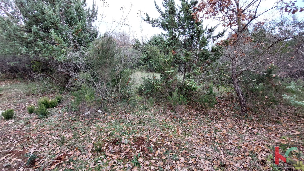 Istria, Peruški, terreni di costruzione 1345 m2, #prodaja