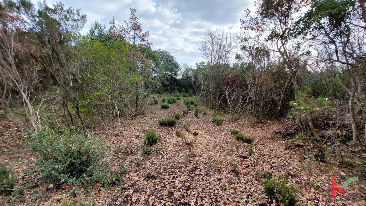 Istria, Peruški, terreni di costruzione 1345 m2, #prodaja