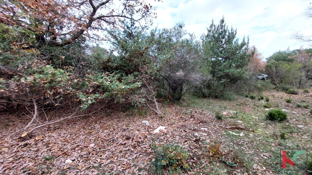 Istria, Peruški, terreni di costruzione 1345 m2, #prodaja