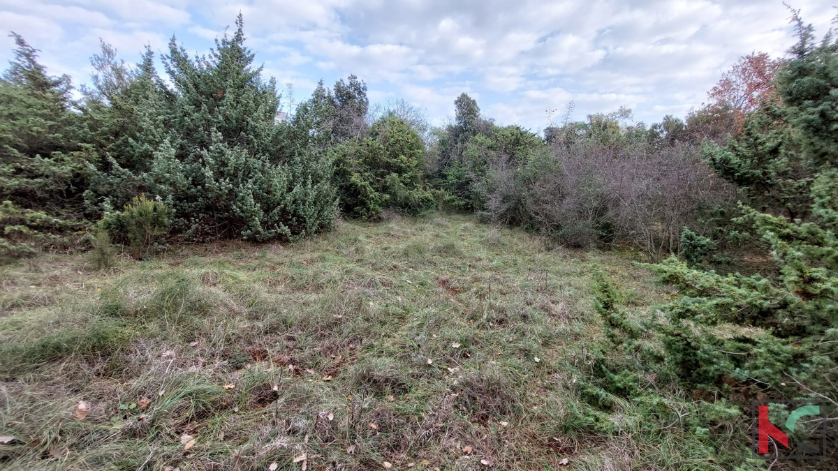 Istria, Peruški, terreni di costruzione 1345 m2, #prodaja