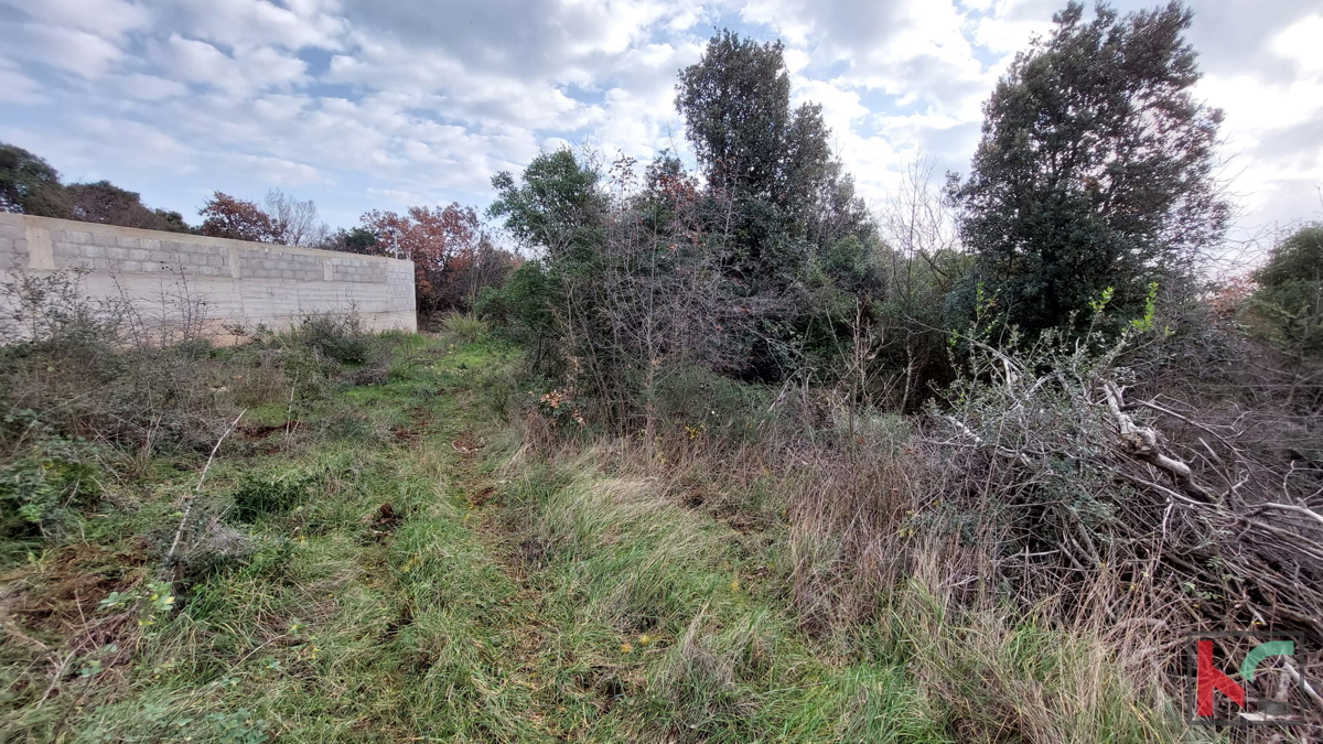 Istria, Peruški, terreni di costruzione 1345 m2, #prodaja