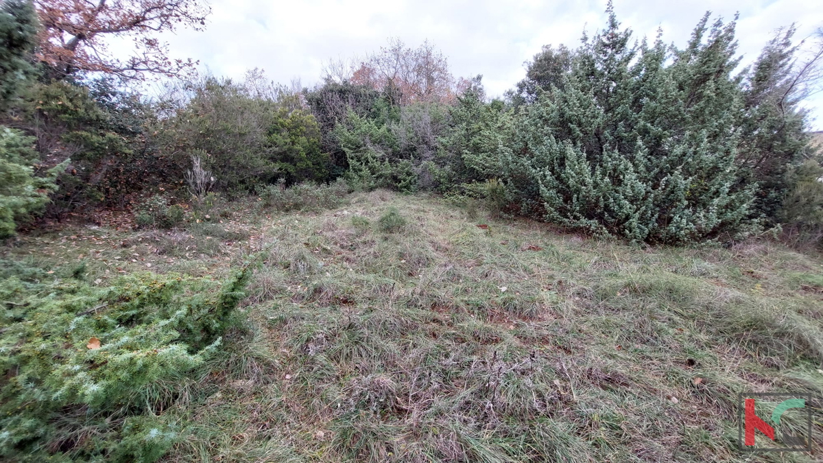 Istria, Peruški, terreni di costruzione 1345 m2, #prodaja