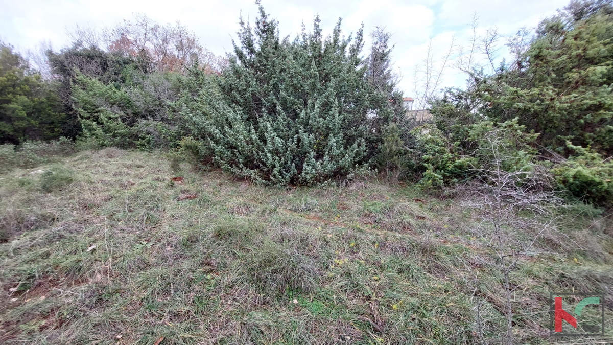 Istria, Peruški, terreni di costruzione 1345 m2, #prodaja