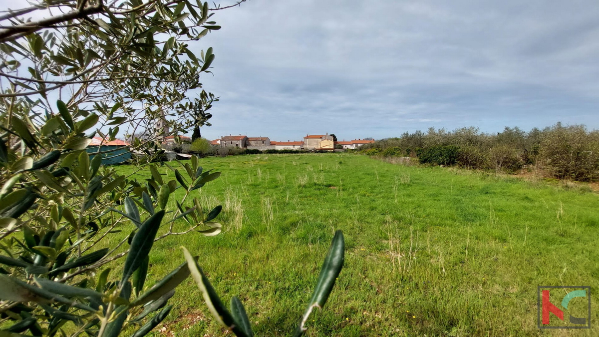 Istria, Dignano, Galižana, terreno edificabile 4583m2, #vendita