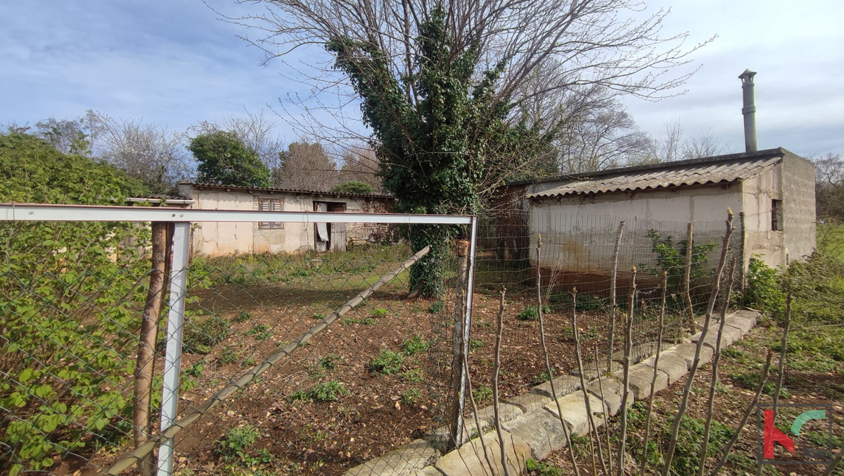 Istria, Dignano, Galižana, terreno edificabile 4583m2, #vendita