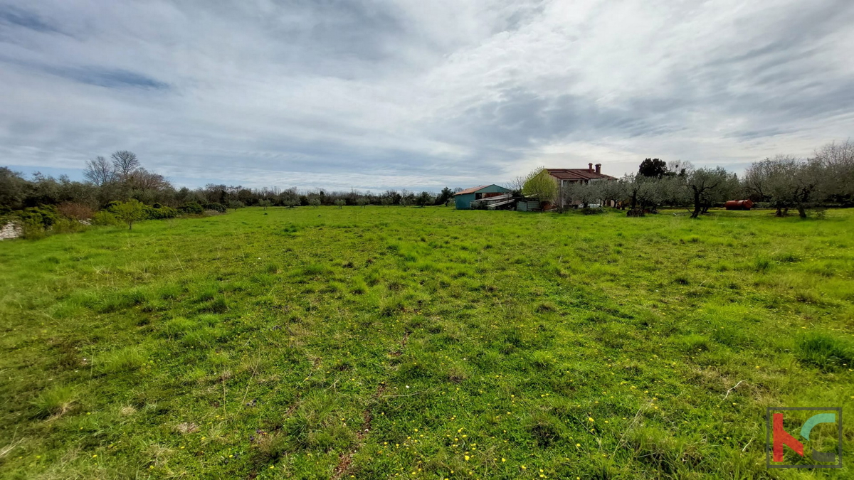 Istria, Dignano, Galižana, terreno edificabile 4583m2, #vendita